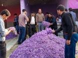 آغاز فعالیت بازارچه زعفران از امروز در فاروج