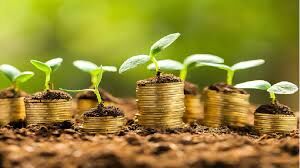 تاکید نماینده قزوین بر لزوم افزایش سهم اعتبارات بخش کشاورزی