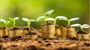 تاکید نماینده قزوین بر لزوم افزایش سهم اعتبارات بخش کشاورزی