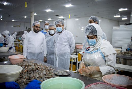 نظارت بهداشتی بر صادرات بیش از 73 هزار تن ماهی و میگو از خوزستان