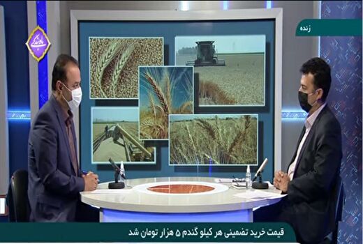 افزایش قیمت خرید تضمینی موجب رغبت کشاورزان برای فروش گندم به دولت می‌شود