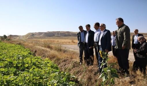 توسعه کشت قراردادی یکی از راهکارهای مؤثر برای کاهش ریسک تولید