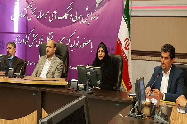 بخش کشاورزی درحل مشکلات کشور در کنار مسئولین و مردم قرار دارد