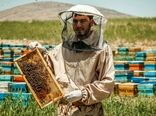 هفت هزار و 500 تن تولید عسل استان اصفهان 