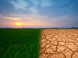 بحران‌های اقلیمی امنیت غذایی جهان را تهدید می‌کنند