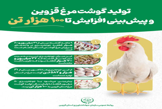 اینفوگرافیک | تولید گوشت مرغ در قزوین و پیش بینی افزایش تا 100 هزار تن 