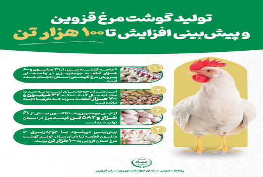اینفوگرافیک | تولید گوشت مرغ در قزوین و پیش بینی افزایش تا 100 هزار تن 