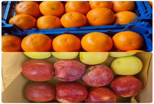 برگزاری کارگروه راهبری ستاد تنظیم بازار میوه شب عید ۱۴۰۳ در سازمان تعاون روستائی آذربایجان شرقی