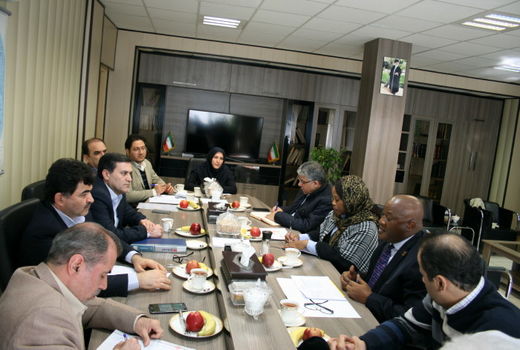 ایران و آفریقای جنوبی سه سند توسعه همکاری های کشاورزی امضا می کنند