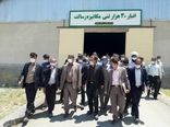 بازدید استاندار همدان از مراکز خرید تضمینی گندم شبکه تعاون روستایی شهرستان رزن 