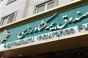  افزایش ۴۰۰۰ درصدی سرمایه صندوق بیمه  کشاورزی / ثبت رکورد جدید در صنعت بیمه 