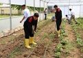 بسته «پرورش کشاورزان آینده» آماده است/ سهم آموزش کشاورزی باید افزایش یابد