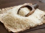 هیچ برنج فاسدی وارد کشور نشده است