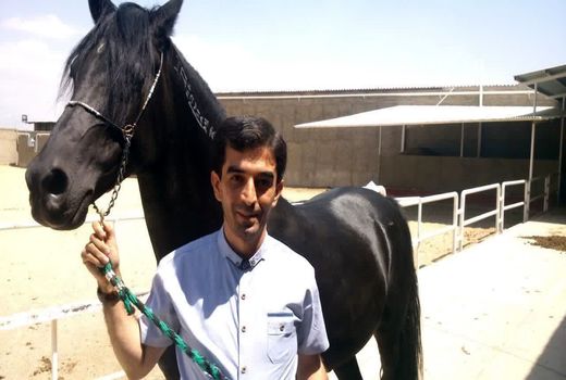 پرورش بیش از دو هزار اسب در استان آذربایجان شرقی