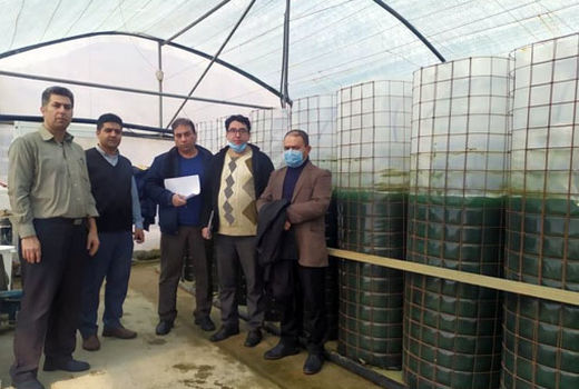 اولین مزرعه پیشرفته تولید جلبک در استان آذربایجان شرقی به بهره برداری رسید