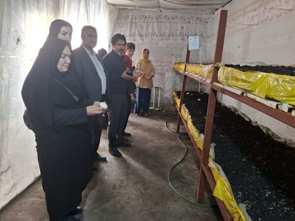 زنان روستایی نقش آفرینان توسعه اقتصادی و امنیت غذایی