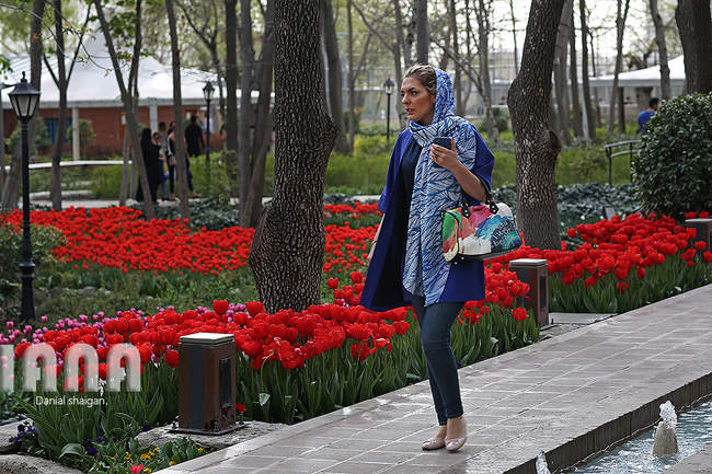گردشگران در باغ گل ایرانی