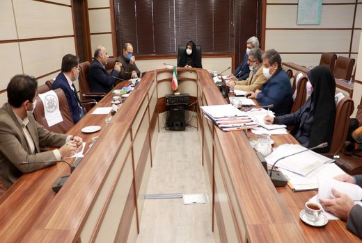 رفع تداخل۲۵ هزار هکتار از اراضی کشاورزی استان قزوین