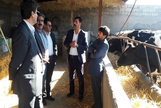 دیدار مدیر جهادکشاورزی با بخشدار آیسک و بازدید از واحدهای دامداری و مرغداری