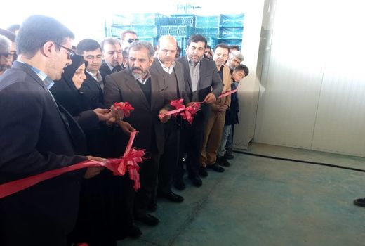 یک طرح صنایع کشاورزی در شهرستان تاکستان افتتاح و به بهره برداری رسید