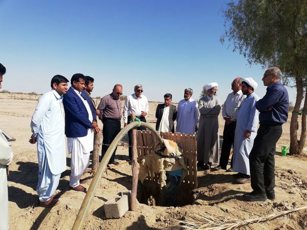 توزیع ۱۰۰۰ تن علوفه دامی در مناطق عشایری سیستان و بلوچستان