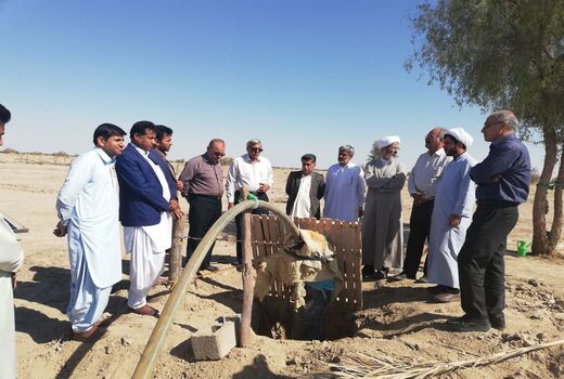 توزیع ۱۰۰۰ تن علوفه دامی در مناطق عشایری سیستان و بلوچستان