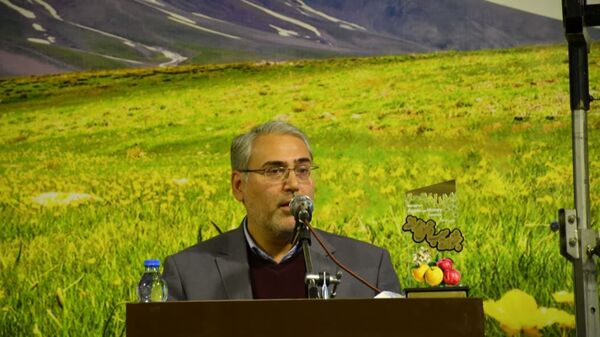 مراغه باید قطب قیمت‌گذاری سیب و عسل کشور باشد  