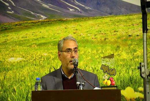 مراغه باید قطب قیمت‌گذاری سیب و عسل کشور باشد  