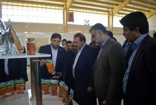 واحد صنعتی بسته بندی حبوبات، خشکبار و ادویه‌جات در شیراز افتتاح شد