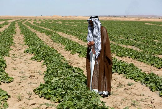 کشت و توسعه در نقطه  صفر مرزی و امنیت ملی 