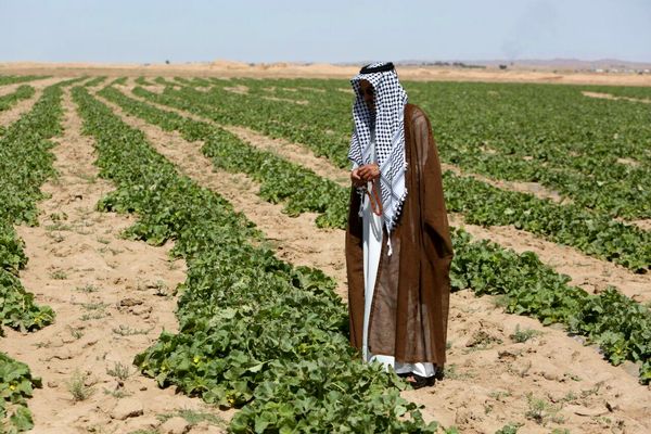 کشت و توسعه در نقطه  صفر مرزی و امنیت ملی 