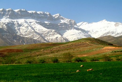 کمیته فنی بالاترین مرجع تصمیم‌گیری در اجرای طرح‌های منابع طبیعی و آبخیزداری است