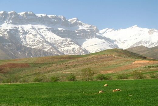 کمیته فنی بالاترین مرجع تصمیم‌گیری در اجرای طرح‌های منابع طبیعی و آبخیزداری است