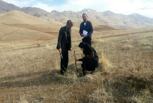 بازدید میدانی کارشناسان جهاد کشاورزی شهرستان فارسان 