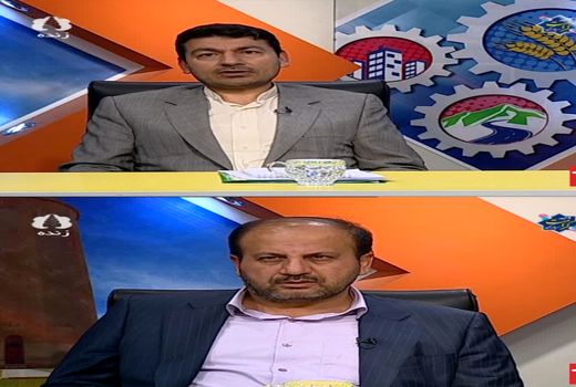 اوضاع تولید مرغ در استان عالی و در وضعیت فراوانی است