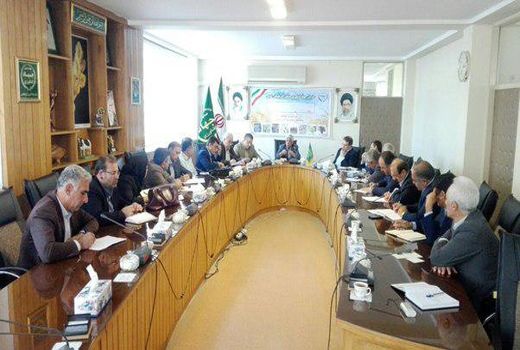 حاصلخیز کردن خاک بدون شخم زدن باعث پایداری زراعت دیم می شود