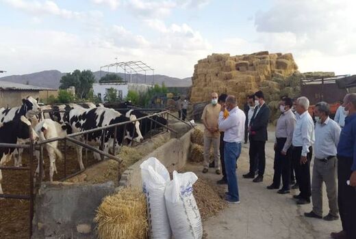 دهگردشی  نماینده مردم شیروان در مجلس شورای اسلامی و دیدار با جمعی از باغداران و کشاورزان 