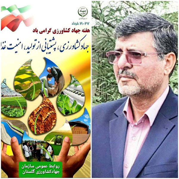 رئیس سازمان جهادکشاورزی استان گلستان در پیامی فرا رسیدن هفته جهادکشاورزی را تبریک گفت