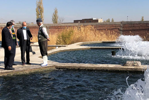 تولید سالانه 83 تن ماهی از 4 مزرعه پرورش ماهی فعال در سطح شهرستان بناب