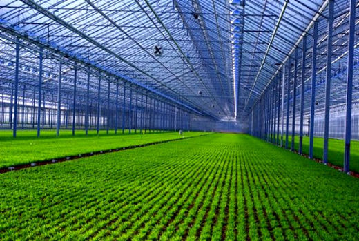 100 طرح  عمرانی ویژه بخش کشاورزی در استان قزوین اجرا می‌شود