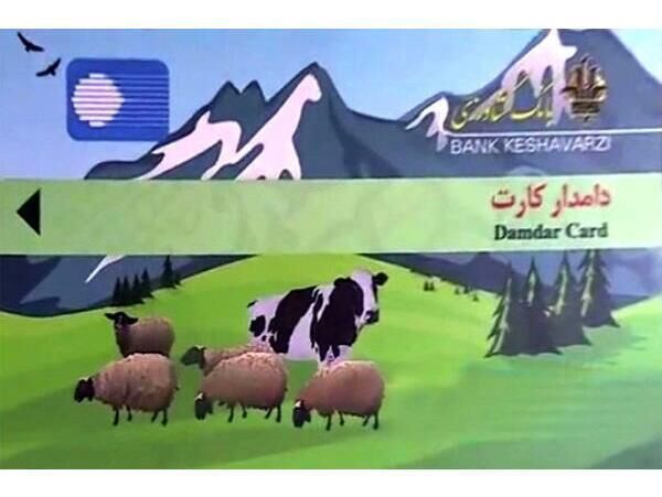 7 میلیارد تسهیلات دامدارکارت به دامداران نوشهری پرداخت شد