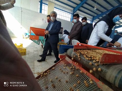 افتتاح طرح های اشتغالزای صنایع کشاورزی در استهبان 