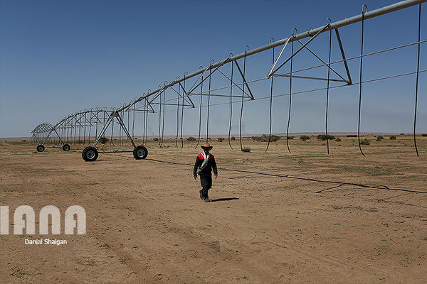 اتمام فاز اول پروژه 550 هزار هکتاری خوزستان 