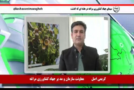 راه اندازی برنامه آموزشی ترویجی و اطلاع رسانی سیمای کشاورزی مراغه