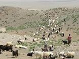 مدیرکل امور عشایر خراسان شمالی: عشایر خراسان شمالی از کوچ زودهنگام پرهیز کنند