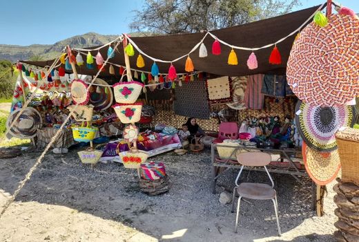 عشایر فارس پیشتاز اجرای طرح نوروزگاه در کشور