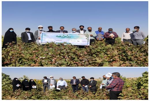برگزاری روز مزرعه و بازدید از سایت جامع الگویی تولیدی، ترویجی پنبه سرایان