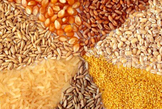 رفع دغدغه تولیدکنندگان برای تهیه نهاده‌های دام و طیور 