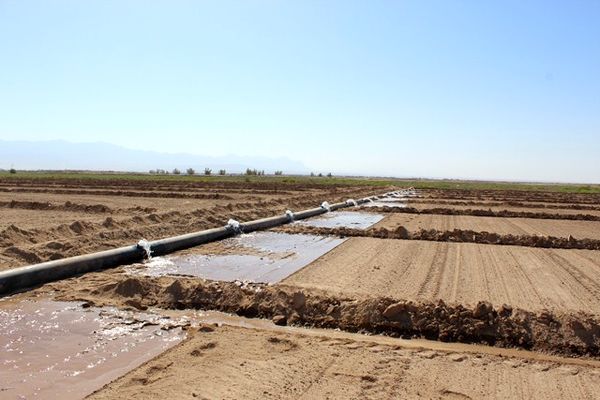 اجرای  14 پروژه سامانه های نوین آبیاری در طبس 