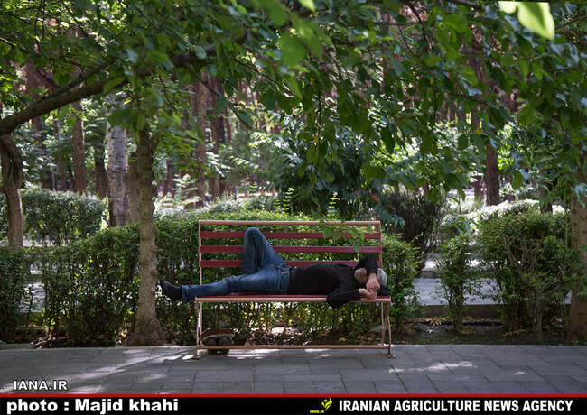 استراحت در فضای سبز شهری